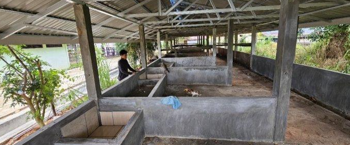 Tingkatkan Sarana di Sentral Pembibitan Peternakan Balangan, 3 Kamar Bersalin Sapi Ditambah